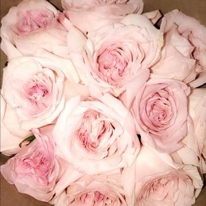 Meet your Posher, Sahar